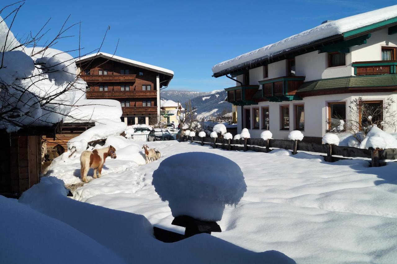 Sieglhub Chalets - Appartements - Hotel Flachau Exterior foto